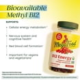 thumbnail image 5 of MegaFood Vitamin B12 Energy Gummies - Vegan Methyl B12 Vitamins - Cranberry - 35 Servings, 5 of 10