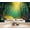 Color 1, variant on Wallpaper Magical Forest Glowing Fireflies Colorful Wildflowers Woodland Peel and Stick Wall Murals 69"H x 96"W Removable PVC Wall Paper Self-Adhesive Wall Paintings Art Decor for Bedroom Living Room