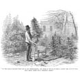 thumbnail image 2 of Christmas Tree, C1870. /N'So The Little Fir, 2 of 2