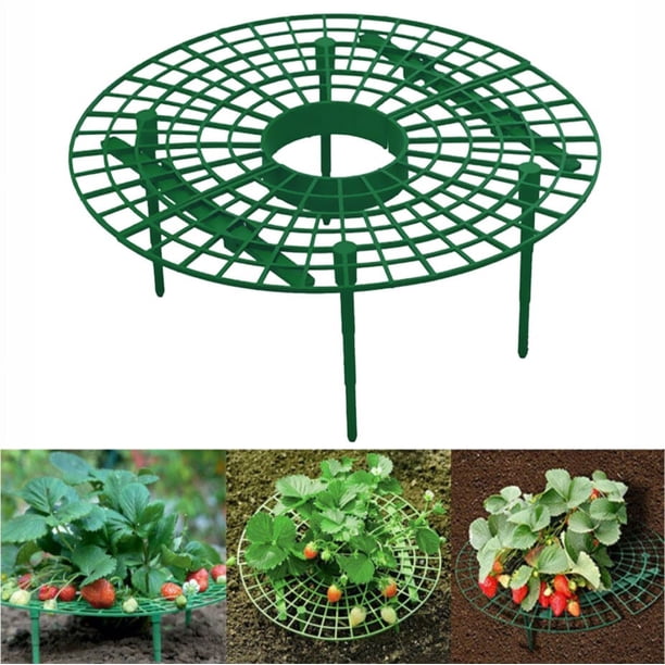 Paquete de 6 estantes de plástico para fresas, estante de plástico para verduras, marco impermeable para cultivo de frutas, jaulas, accesorios para estantes de fresas