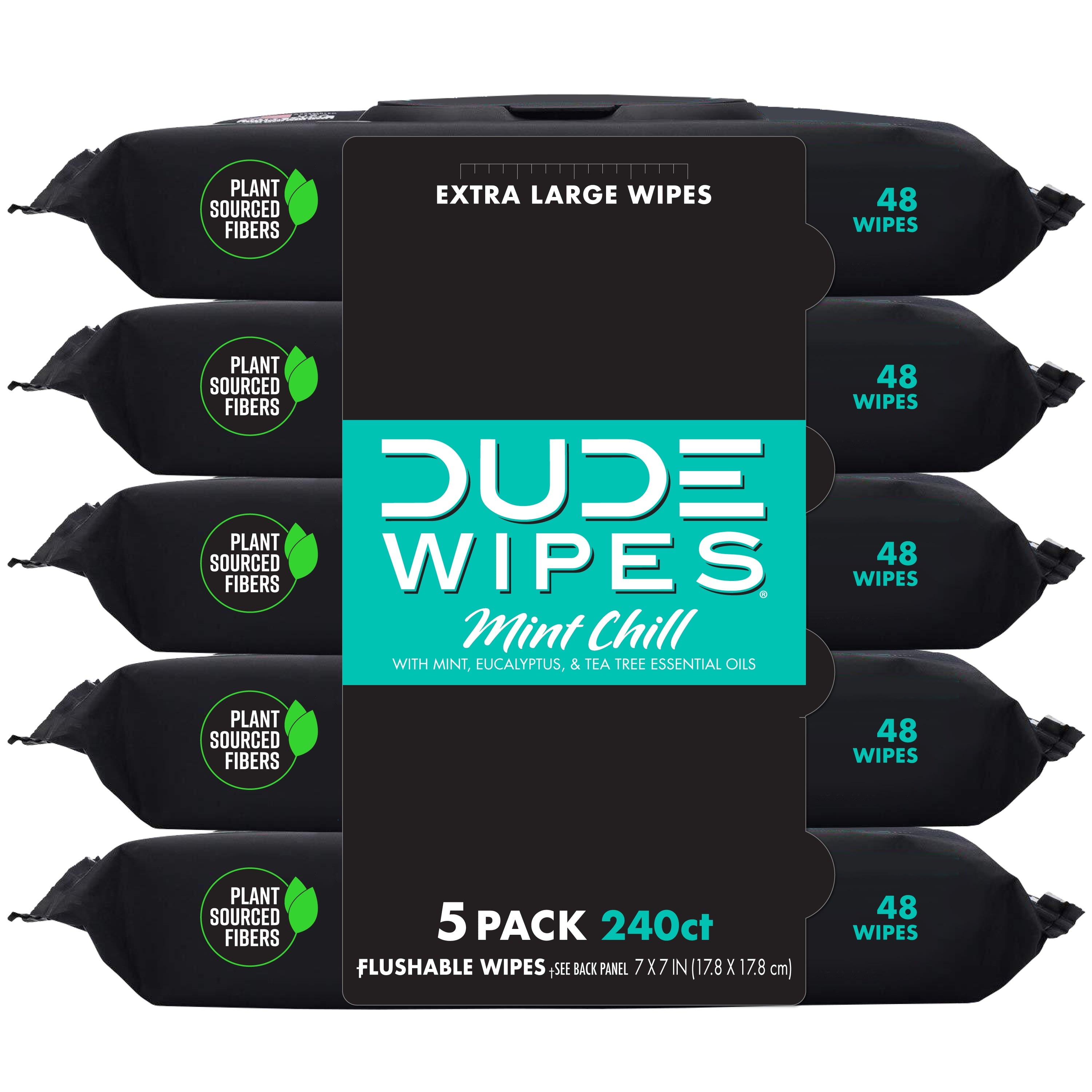 DUDE Wipes Flushable Wipes, Mint Chill, 48 count, 5 Pack - Walmart.com