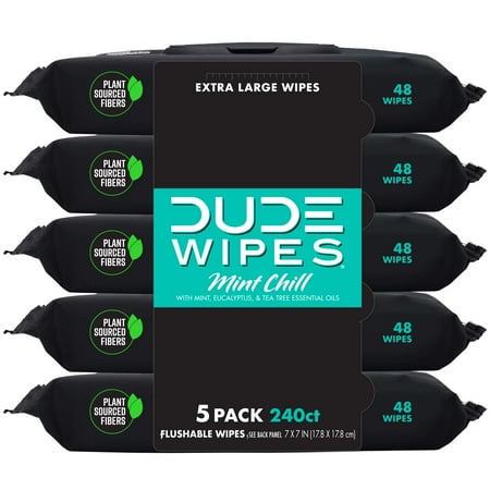 DUDE Wipes Flushable Wipes, XL Wet Wipes for at Home Use, Mint Chill, 48 Count, 5 Pack