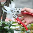 thumbnail image 2 of Pruning Shears Hand Tools Set, SK5 Secateurs for Garden, Hedge and Bonsai Trimming, Ergonomic Design, Durable Material, 2 of 5