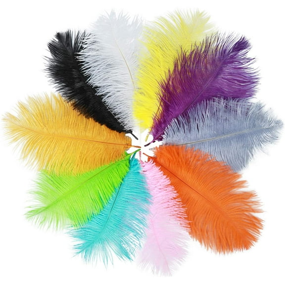 Nvzi-a 50 Pieces Ostrich Feathers, 7.9-9.8inch Mixed Color Ostrich Feathers Craft Art Soft Feathers for Wedding Centerpieces, Festival Party, DIY Art Craft, Home Decoration