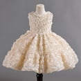thumbnail image 1 of Vestido de niña Vestido de red dura Vestido de moda para bebé Vestido de flores rosas Vestido de princesa de cumpleaños de verano para niños, 1 of 5