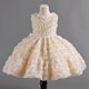 thumbnail image 1 of Vestido de niña Vestido de red dura Vestido de moda para bebé Vestido de flores rosas Vestido de princesa de cumpleaños de verano para niños, 1 of 5