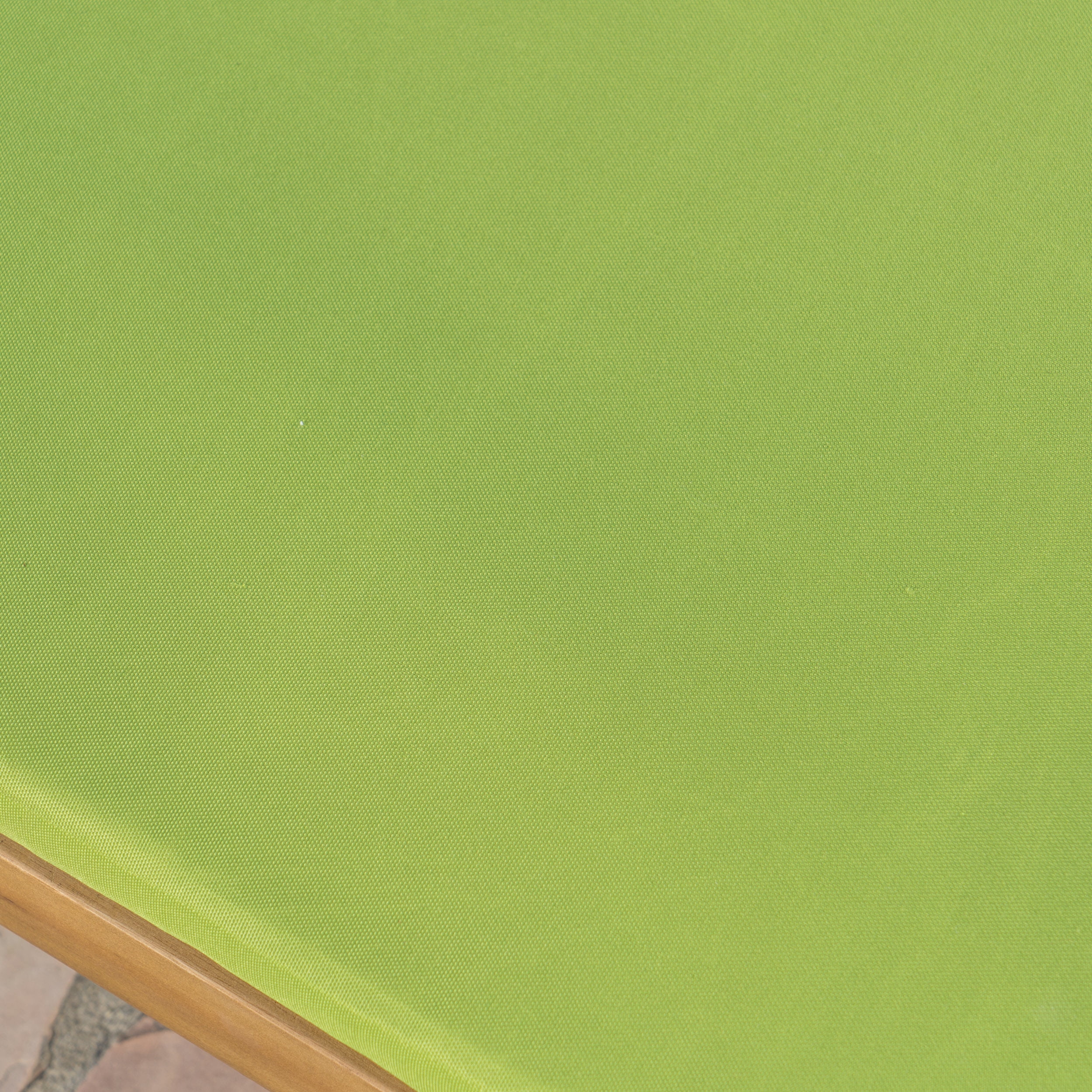 Lilyana Outdoor Water Resistant Chaise Lounge Cushion, Set of 2, Green
