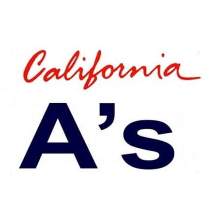 California State Background License Plates 6 x 12 standard size license plates