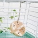 thumbnail image 5 of Juguetes para masticar hámsters Natural Colgante de madera Diversión Pelota Animales pequeños Patrón calado Bola de sandía Juguete de mordedura de hámster Juguetes de ANGGREK Otros, 5 of 7