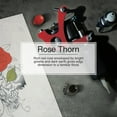 thumbnail image 3 of LITTLE TREES air freshener Rose Thorn 3-Pack, 3 of 8