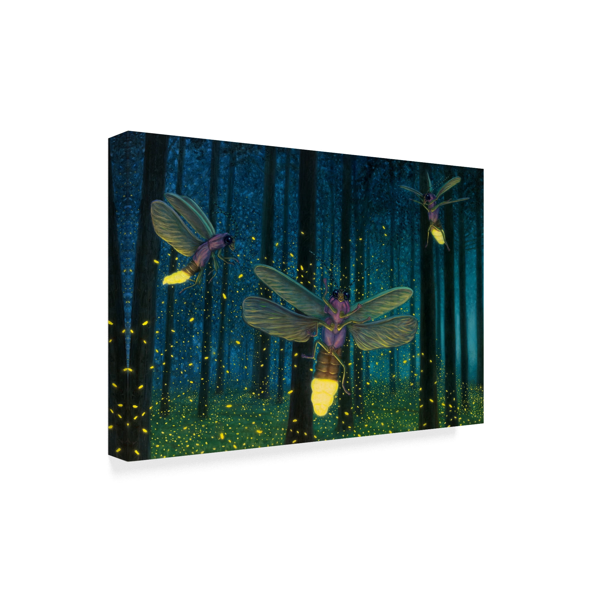Trademark Fine Art 'Night Light Flight' Canvas Art by James W. Johnson