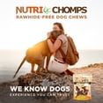 thumbnail image 7 of Nutri Chomps Rawhide-Free Knotted Dog Chews, 4-Inch, Chicken, Peanut Butter & Milk Flavor, 9 Count, 7 of 7