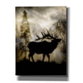 thumbnail image 1 of Epic Graffiti 'Mystic Elk' by Lightbox Journal, Canvas Wall Art, 12"x16", 1 of 8