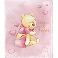 thumbnail image 1 of The Pooh Silk Touch Throw Blanket, 50" X 60", Love Always Pooh, 1 of 6
