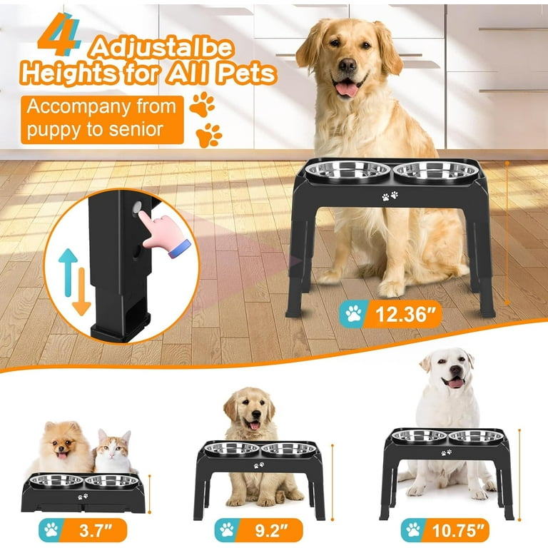 Medium dog bowls hot sale