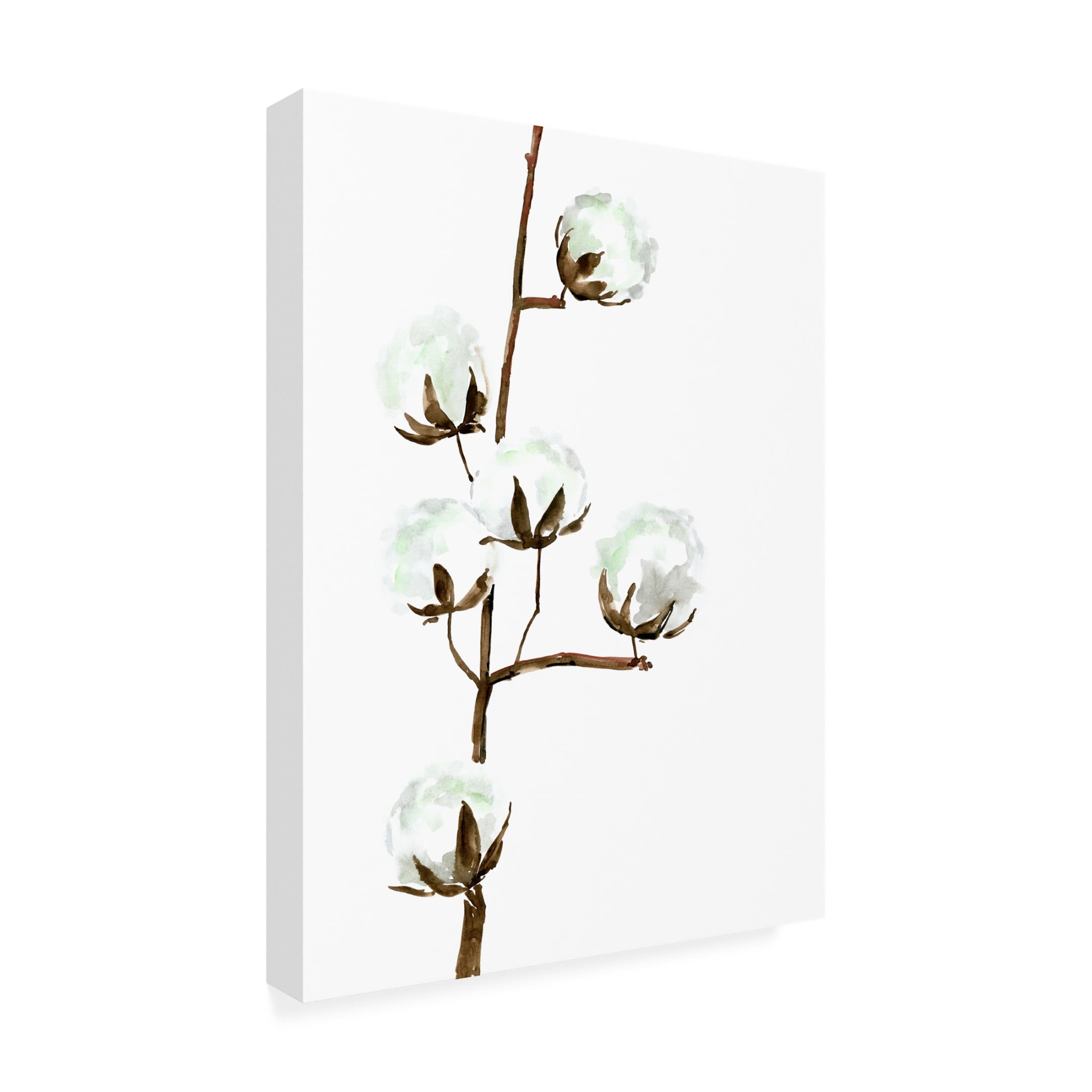 Trademark Fine Art Rosana Laiz Blursbyai Watercolor cotton branch I Canvas Wall Art