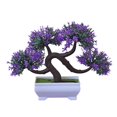 thumbnail image 1 of CAIROYAR Árbol de bigotes de dragón simulado Bonsai Maceta de bonsái falsa D1P2 Bonzai hecho a mano, 1 of 7