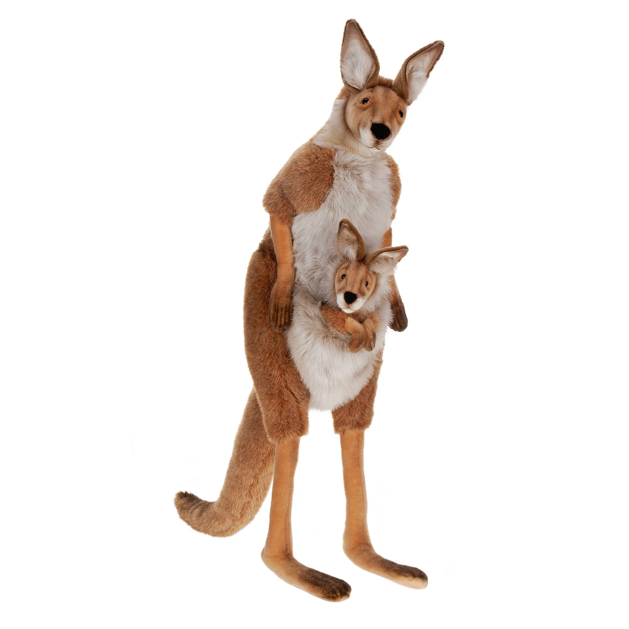 hansa kangaroo