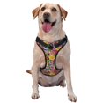 thumbnail image 1 of Fotbe Daisies Flowers Arnés para Perro con Estampado –Chaleco Ajustable Acolchado con Asa de Control para Perros Grandes-Medium, 1 of 6