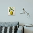 thumbnail image 2 of Stupell Industries Vintage Fruit Pear Painting Wall Plaque Art by Vision Studio, 2 of 6