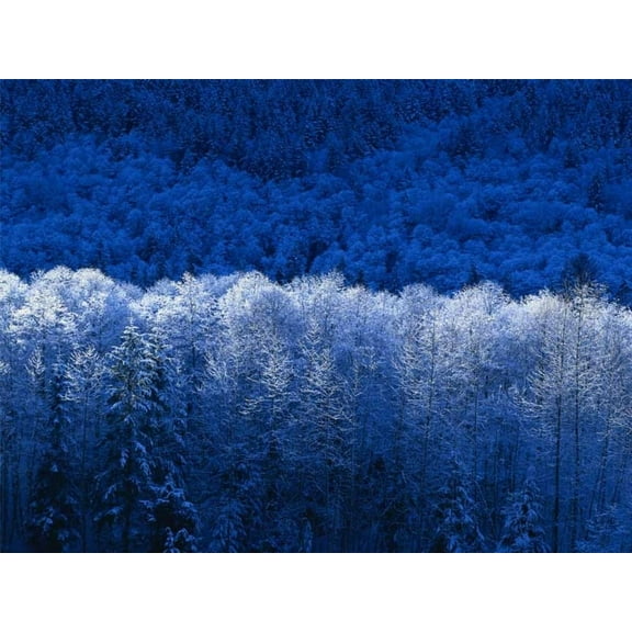 A World Fit for People: Thinkers from Many Countries Address the Political, Economic, and Social Problems of Our Time, (Hardcover)