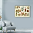 thumbnail image 3 of Trademark Fine Art 'Tropical Botany Chart I' Canvas Art by Meyers, 3 of 4
