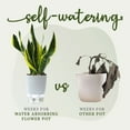 thumbnail image 7 of WozhuoToy Self Watering Planter - Modern Flower Pot for All House Plants, Flowers, Herbs, 7 of 7