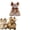 L, variant on Christmas Reindeer Cat Cape Hooded Antler Cloak,Soft Fuzzy Polyester Holiday Costume, Bow Decor Winter Outfit Fits 3.3-5.5 lbs Small Dogs Kittens, Xmas Party Photo Prop Indoor Holiday Pet Accessories