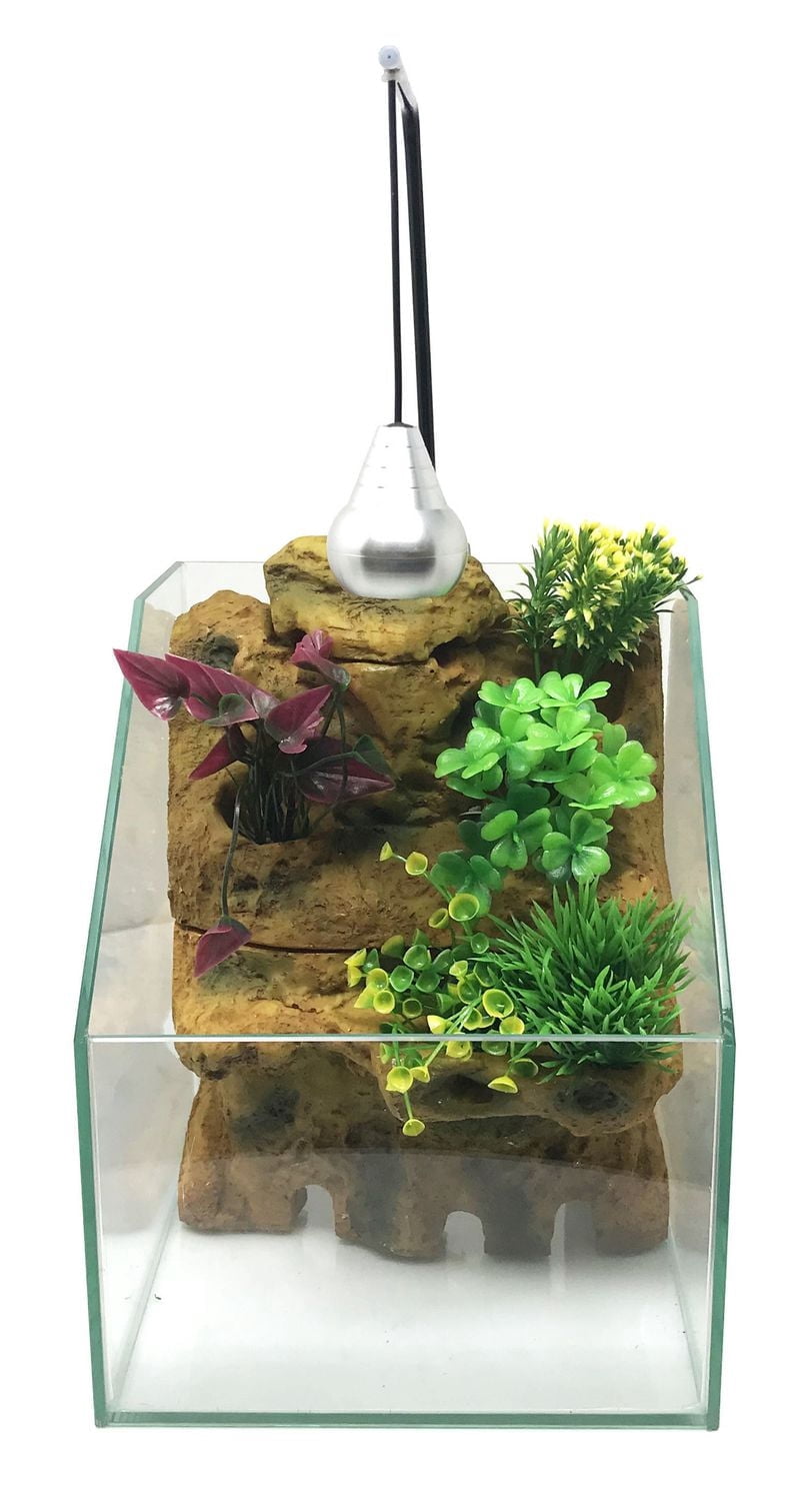 Penn Plax Aqua Terrarium Plantation Réservoir