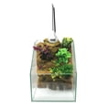 thumbnail image 1 of Penn Plax Aqua Terrarium Planting Tank, 1 of 3