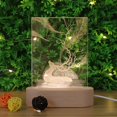 thumbnail image 3 of Base de luz LED de madera, exhibición de arte acrílico de ranura larga, Oval Yuyangstore Luz base, 3 of 8
