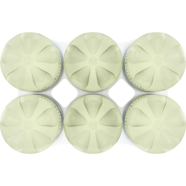Lemonade Bottles 6pk | Soft drink pack for wholesale trade