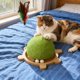 thumbnail image 1 of Rascador para gatos con forma de tortuga, resistente al desgaste y que no suelta pelo, poste rascador giratorio de cuerda de cáñamo, juguete para gatos con forma de tortuga, tablero de densidad para g, 1 of 7