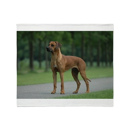 CafePress - Rhodesian Ridgeback Full 2 Throw Blanket - Soft Fleece Throw Blanket, 50"x60" for All Ages