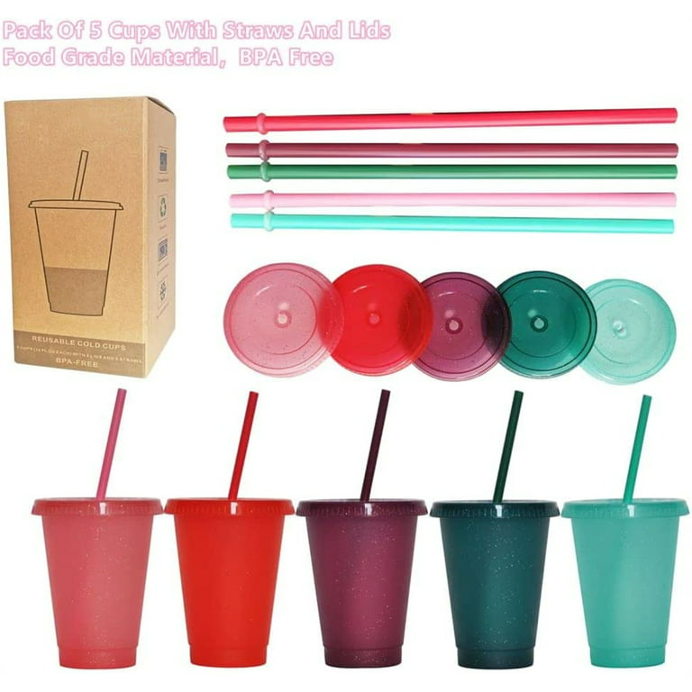 TWSOUL 500ML/650ML Insulated Double Wall Plastic Tumbler Cup with Lid, Reusable Summer Cold Drink Iced Coffee Cups With Lids And Straws For Adults  Kids 
