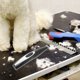 thumbnail image 2 of Cortapelos eléctrico para mascotas, gatos y perros, recargable por USB, herramienta de aseo para perros (azul y negro al azar), 2 of 6