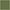Green, variant on Decotex Warm & Cozy Lightweight Super Soft Plush Fleece Throw Blanket Polyester (50" X 60", Olive Green)