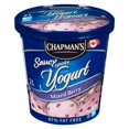 thumbnail image 1 of Chapman's Frozen Yogurt Mixed Berry Saucy Spots, 1 of 2