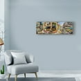 thumbnail image 3 of Trademark Fine Art 'Late Afternoon in Italy' Canvas Art by Nicky Boehme, 3 of 3