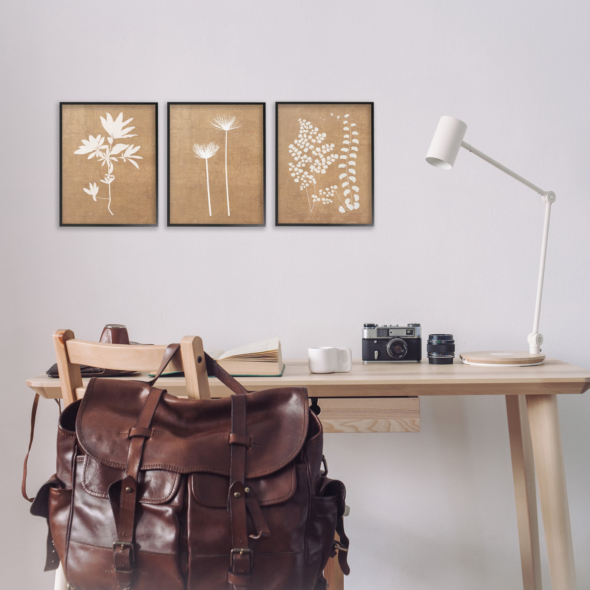 Stupell Industries Nature Botanical Silhouettes Botanical & Floral Painting Black Framed Art Print Wall Art, 11 x 14, Set of 3