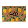 thumbnail image 1 of Giyblacko Carpet Door Mats Lemon Mat Holiday Mat Welcome Door Mat Polyester Door Mat, 1 of 1