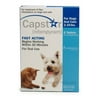 Capstar Flea Treatment Dog Flea & Tick Care