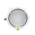 thumbnail image 3 of Mistaha Porte pour Chat Verrouillable Porte pour Chat pour Portes Intérieures et Extérieures Battant Intérieur pour Chat pour Animaux Portes pour Chat Installation Facile, 3 of 8
