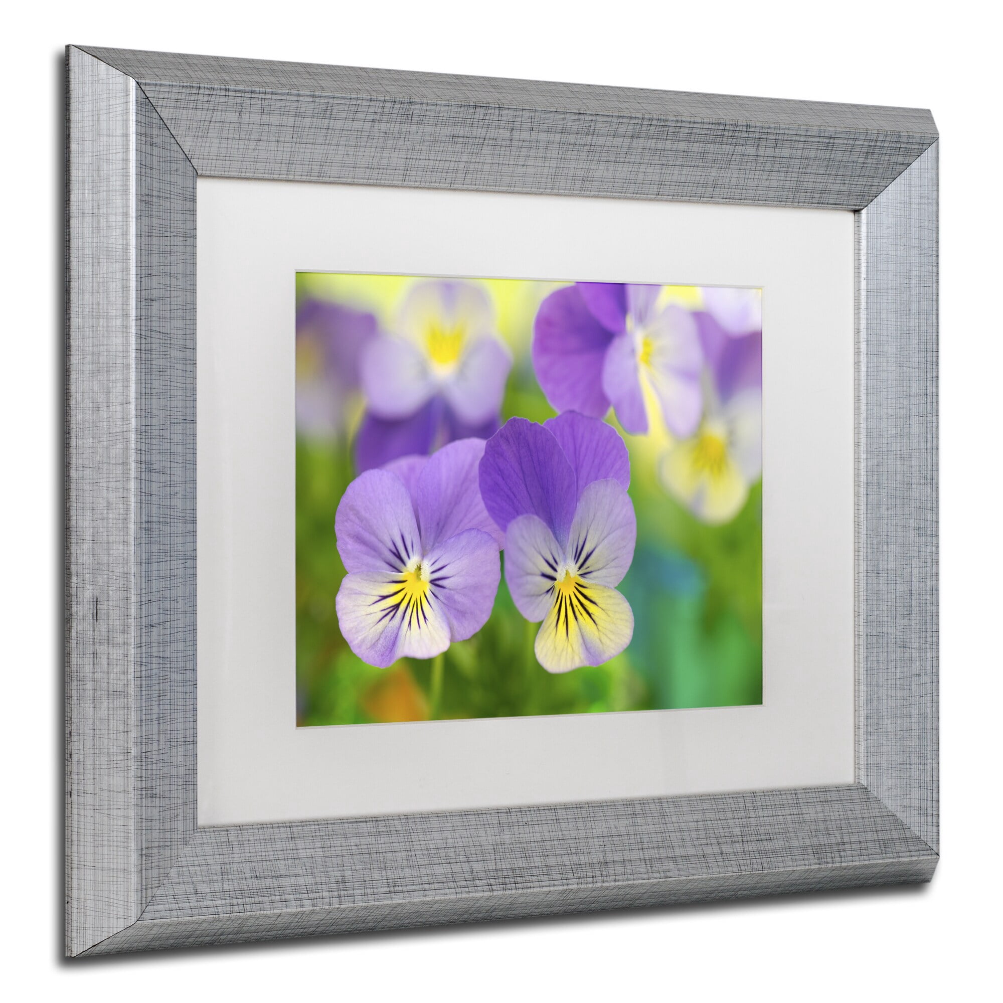 Trademark Fine Art 'Violets' Canvas Art by Cora Niele, White Matte, Silver Frame