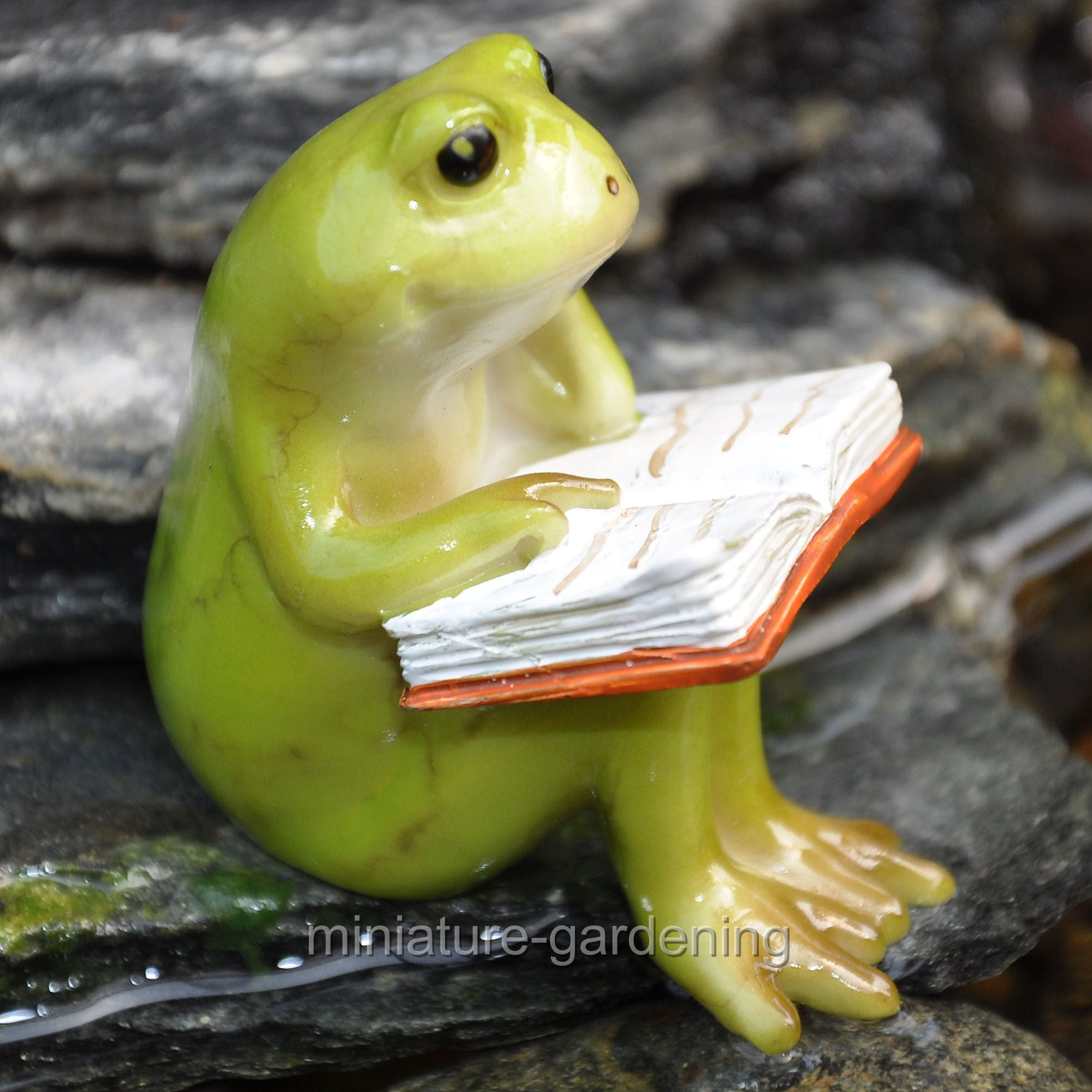 Miniature Dollhouse FAIRY GARDEN Figurine ~ Cute Mini Frog Reading Book on Stone 