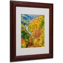 Trademark Fine Art "Valley" Canvas Art by CATeyes, Wood Frame