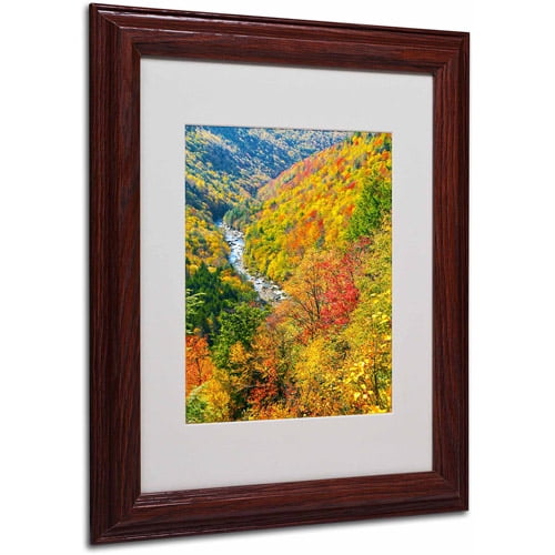 Trademark Fine Art "Valley" Canvas Art by CATeyes, Wood Frame