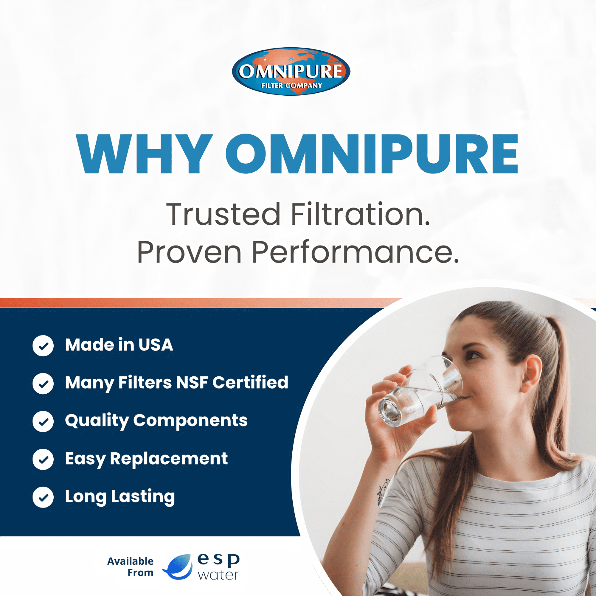 ESP Water Products Under-Sink Water Filters Carbon Block 10 Micron 2.5 x 12 Inches Replacement Water Filters