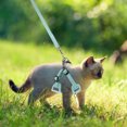thumbnail image 3 of Shisuyan Cat Harness Leash Set Light Green Reflective Fabric 1 Set 5.5x6.3in, 3 of 8