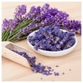 thumbnail image 4 of Everwilde Farms - 2000 Vera Lavender Herb Seeds - Gold Vault Jumbo Bulk Seed Packet, 4 of 5
